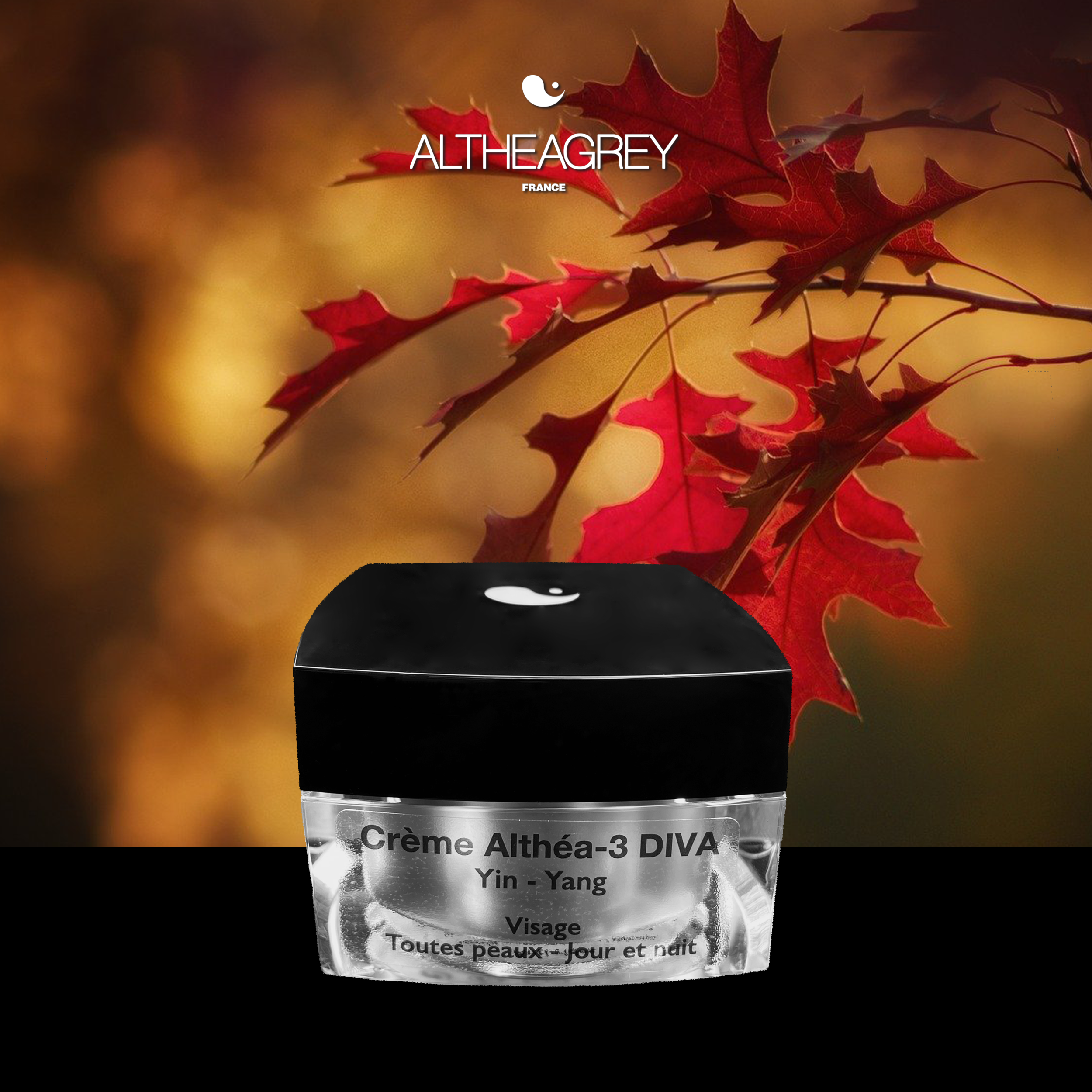Les lipides précieux pour la peau. Les lipides précieux pour la peau.