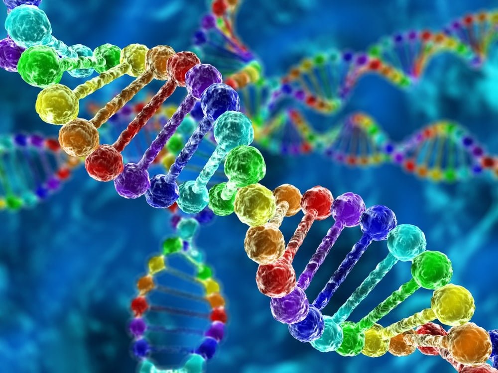 Le secret des échanges intercellulaires du derme et de l’épiderme